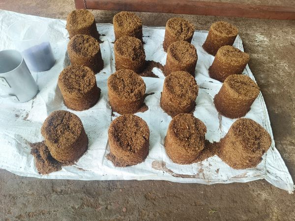 Coco Peat Discs Expanded