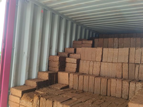Coco Peat Blocks Stacked in Container