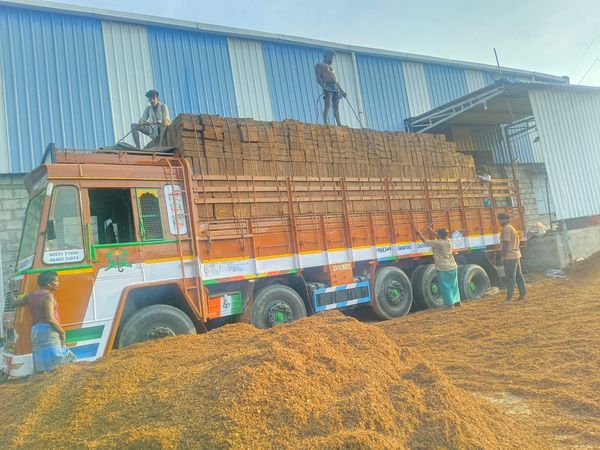 Truck Loaded Coco Peat Blocks