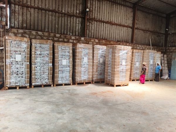 Wrapped Coco Peat Pallets Ready
